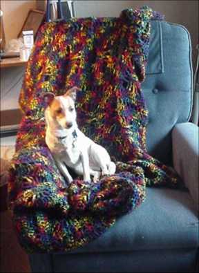Rainbow Spiderweb Afghan