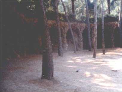 Parque Guell